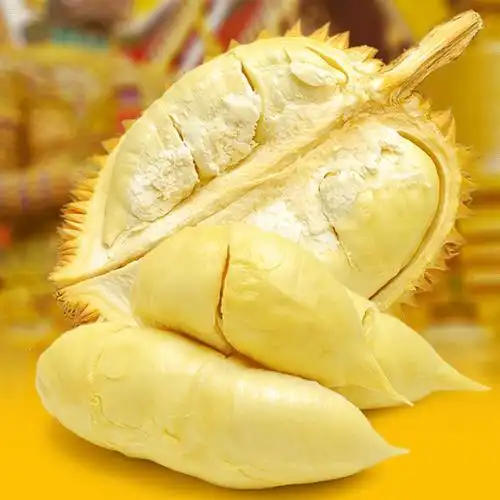 泰国金枕头榴莲 进口水果 新鲜榴莲 5斤装 泰国水果 空运包邮