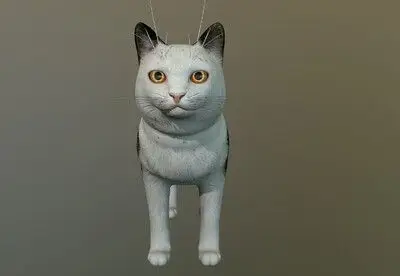 超写实 ** 花猫  次世代 猫科动物  cat  家猫