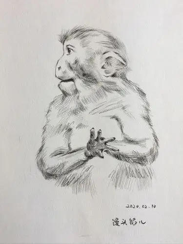 不出门,宅家练习(猴子的山根都比我高)