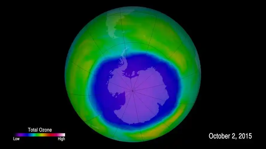 banned, ozone-depleting chemical is still being p