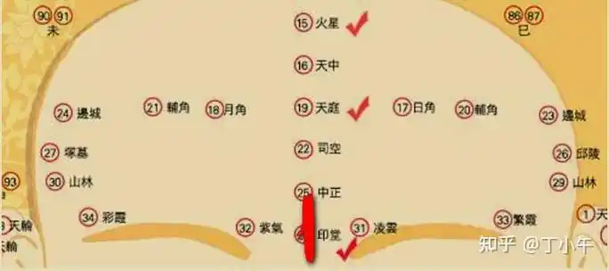 为啥很多名人有悬针纹,传说悬针纹男人必有一劫真假