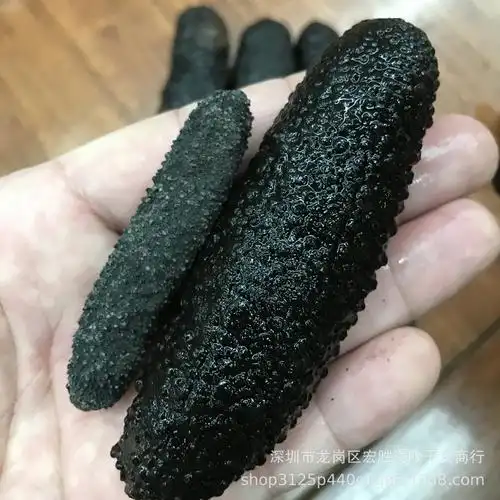 毛刺参深海野生黑刺参 疙瘩刺参淡干海参干货50到120头