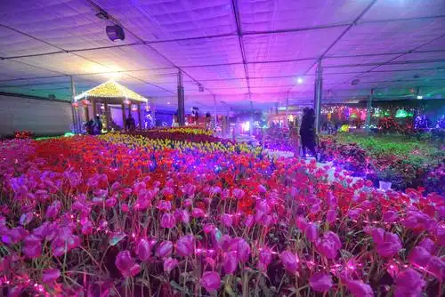 太漂亮了!南和嘉年华梦幻灯光节浪漫唯美,快去看看吧