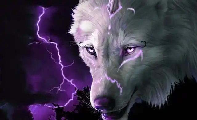 上世纪一头传奇狼王悲壮之死一个背后应该引发我们沉默的故事