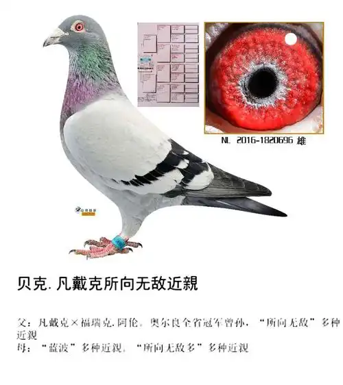 >> 查看拍卖商品