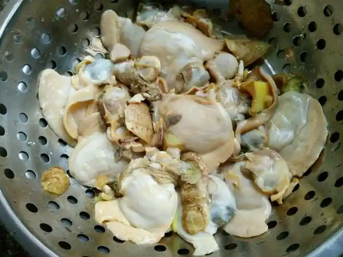 河蚌的正确做法(有什么做的技巧)