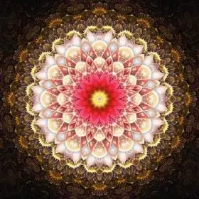 增强免疫力,让能量翻倍的方法