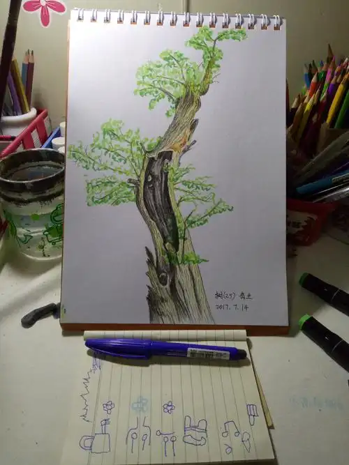 彩铅手绘树25