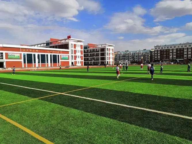 杯"校园足球三级联赛小学男子组比赛 写美篇宝日希勒小学校男子足球队