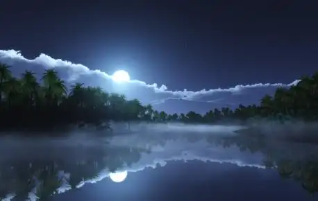 热带的寒冷的夜晚4k风景壁纸