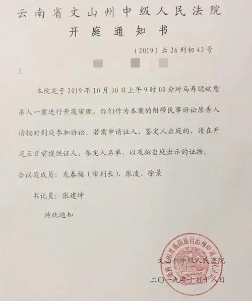 文山州中院此前下发的一审开庭通知.  受访者供图