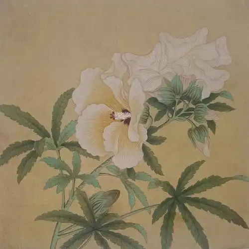 国画  #寻找小红书绘画大神  #临摹  #绘画日常  #工笔画  #花鸟画