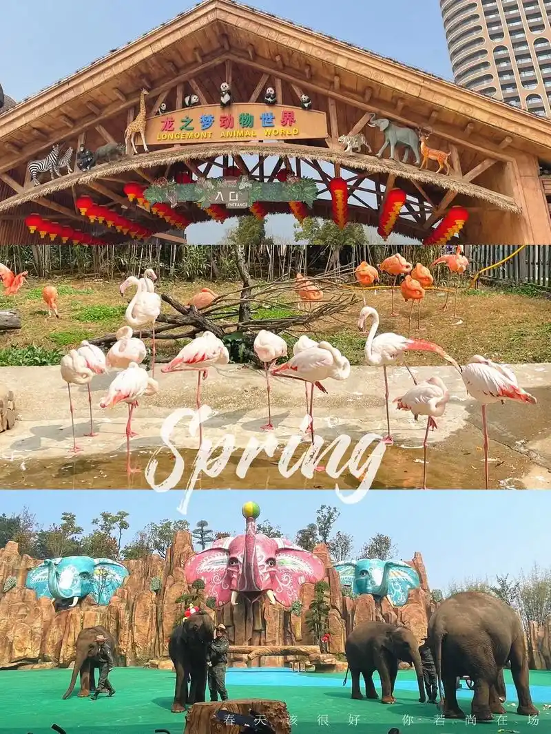 长兴度假龙之梦钻石动物园