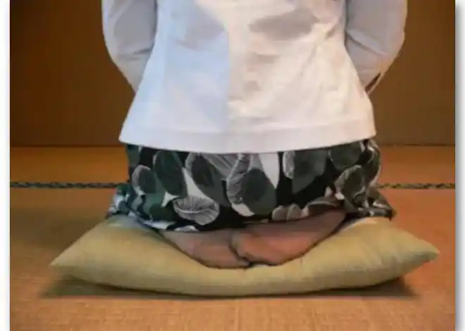 日本人为什么能跪坐压腿那么久?网友:"跪得容易"值得拥有_网易订阅