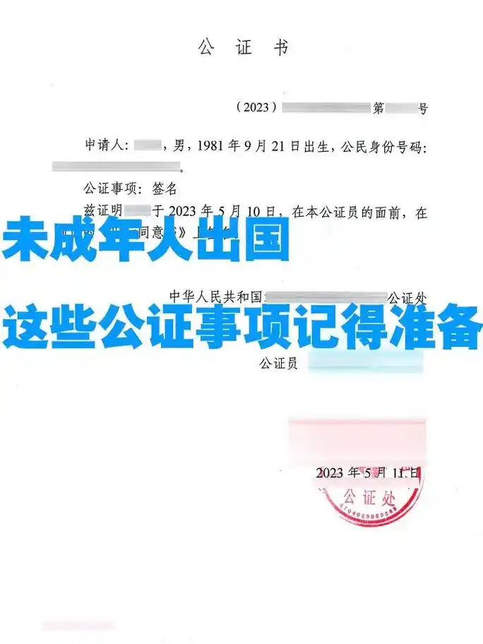 带小孩出国需要做哪些公证?我发现今年带小孩出国的家长特别多, - 抖