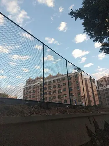 斜线构图  拍摄:丁梓枞