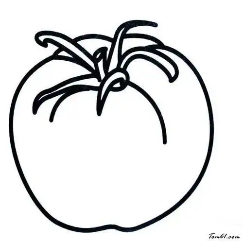 番茄的花简笔画集