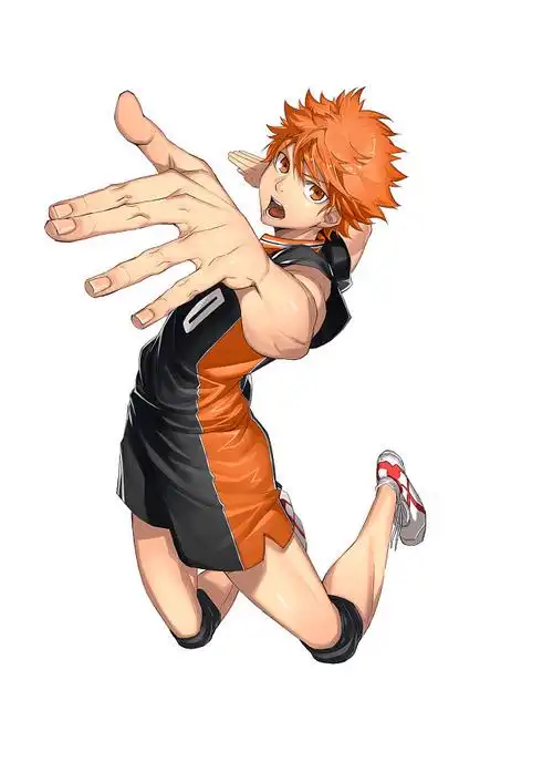 ハイキュー日向翔阳