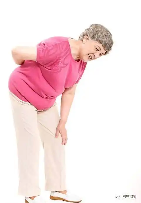 腰腿疼痛并不等于腰椎间盘突出快看看你的腰腿痛是哪一种