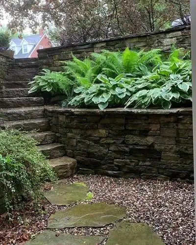 小花园里荫蔽区域的解决方案——耐阴小花坛