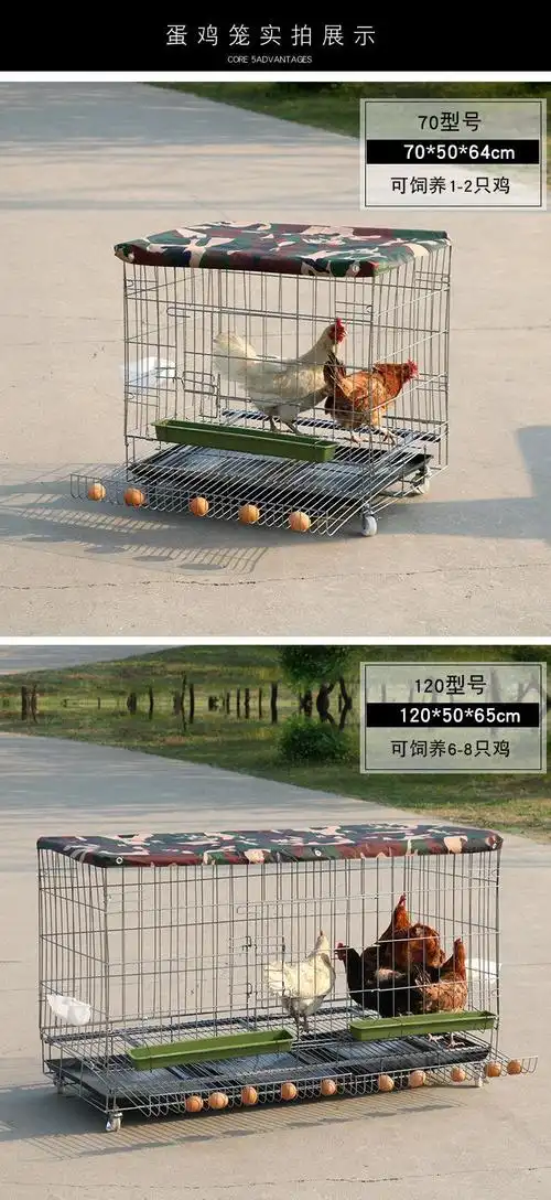 鸡笼子特大号鸡笼子家用养殖笼铁丝鸡舍家庭养鸡笼特大号自动滚蛋清粪