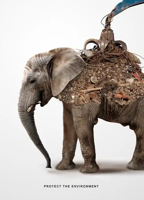 动物保护|平面|海报|在路上的胡某某 - 原创作品 - 站酷 (zcool)