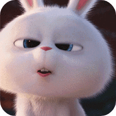 240_240gif 动态图 动图