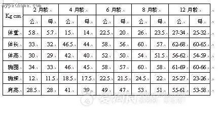金毛多大之前一直在长个