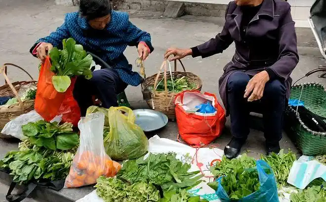 宝兴人,从今天开始,买菜请带点现金出门|菜市场|摆摊_网易订阅