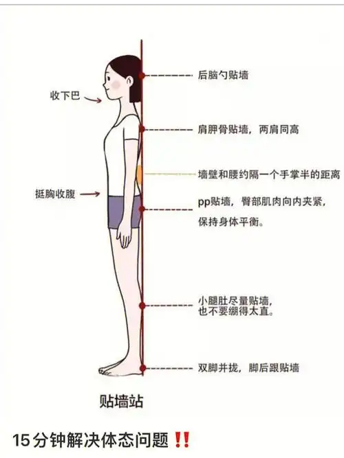 体态管理纠正体态