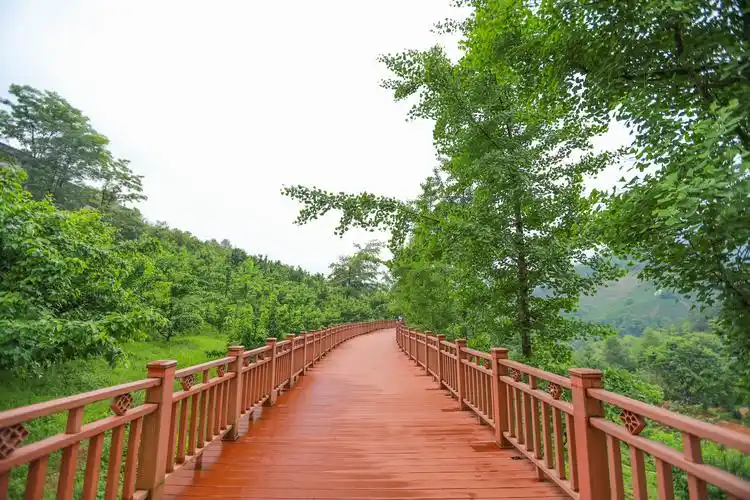 踏青丫山卧龙谷,飞流直下三千尺