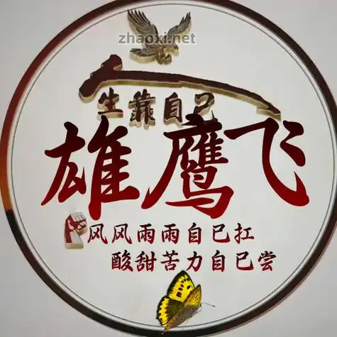 红色效果雄鹰展翅巍峨长城庄严华表雄伟天安门头像