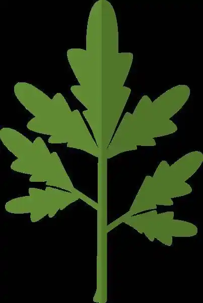 装饰手绘免费下载_艾叶装饰手绘艾草手绘采草艾叶简笔画就分享到这里