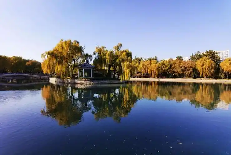 2020-11-9 北京青年湖公园初冬景色.