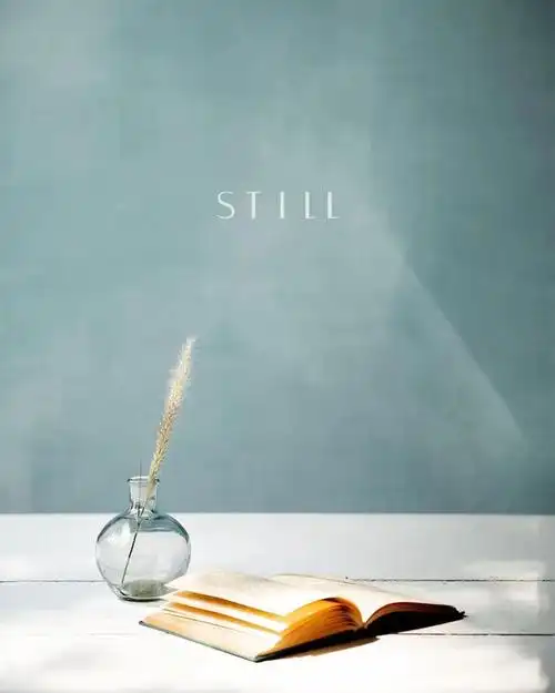 savouring moments of stillness wherever we are, delighting in