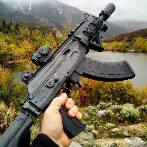 【与时俱进 子孙众多】以色列加利尔系列步枪图集