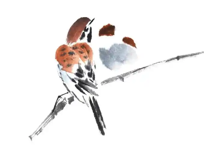 国画教程丨麻雀写意画法