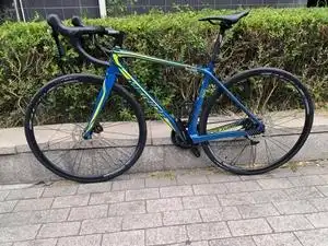 美利达斯特拉1000