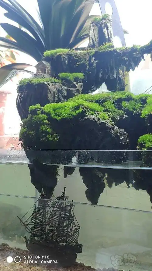 天空之城水陆缸