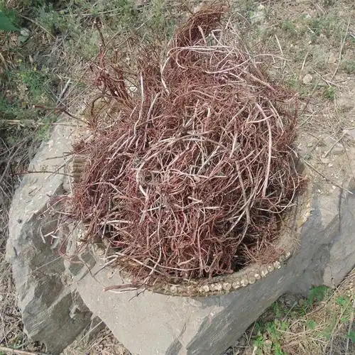 包邮 正品野生茜草根 血见愁 红根草 娃娃拳拉拉秧根 250克