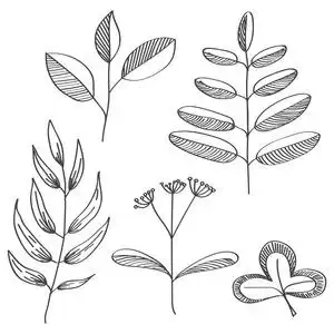 手绘树叶和树枝素描集中国水墨画鸟和植物一束蓝色带刺的花在玻璃花瓶