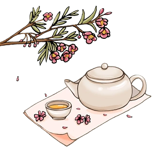 茶文化图片大全