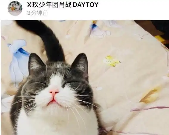 肖战晒坚果自拍花边被罩原来是肖妈妈拍的