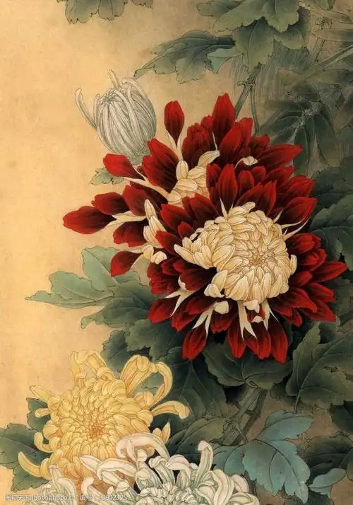 工笔国画菊花高清图a3幅面图片