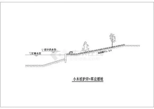 松木桩概念及应用包括图纸