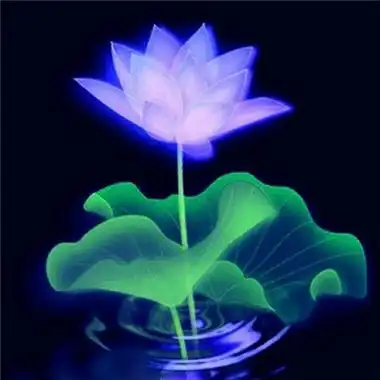 阳光淡雅简单头像图片,简洁大气_微信头像_头像控