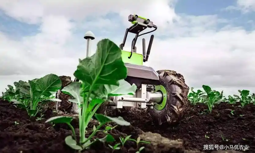 5公顷农田,24小时作业,减少70%除草剂_机器人_农业_生产