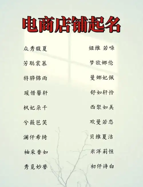 🎉创意网店名字大赏🎉