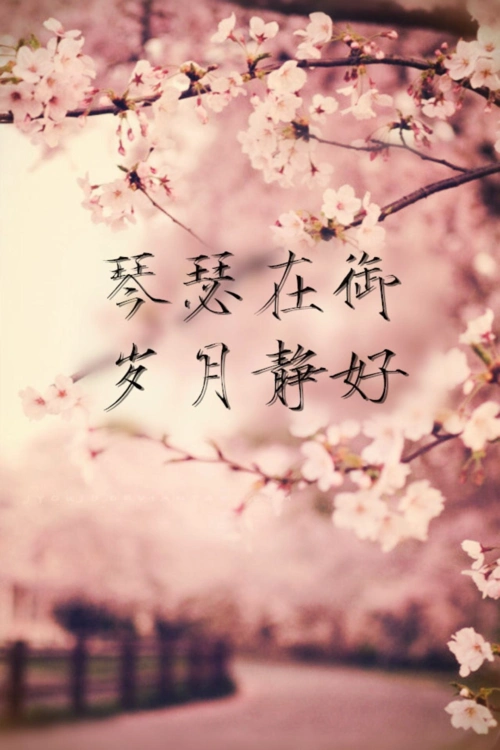 女孩对我说阳光温热,岁月静好是什么意思