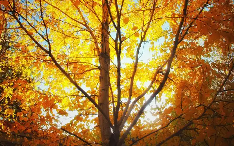 【摄影】北方小镇景色选集 | 春夏秋冬 解压民谣